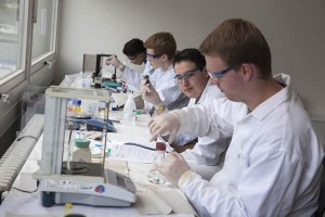 Eine Gruppe befasste sich mit Experimenten aus der Nanotechnologie.